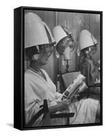 Wig Posing under Drier-Nina Leen-Framed Stretched Canvas