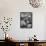 Wig Posing under Drier-Nina Leen-Framed Stretched Canvas displayed on a wall