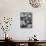 Wig Posing under Drier-Nina Leen-Stretched Canvas displayed on a wall