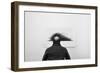 Wig-Jorge Pena-Framed Giclee Print