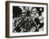 Wigwam Burner, Oregon, 1971-Brett Weston-Framed Premium Photographic Print