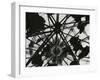 Wigwam Burner, Oregon, 1971-Brett Weston-Framed Premium Photographic Print