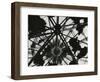 Wigwam Burner, Oregon, 1971-Brett Weston-Framed Photographic Print