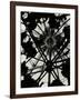 Wigwam Burner, Oregon, 1975-Brett Weston-Framed Photographic Print