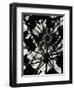 Wigwam Burner, Oregon, 1975-Brett Weston-Framed Premium Photographic Print