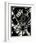 Wigwam Burner, Oregon, 1975-Brett Weston-Framed Premium Photographic Print