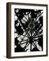 Wigwam Burner, Oregon, 1975-Brett Weston-Framed Photographic Print