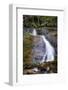 Wigwam Falls, Virginia, Blue Ridge Parkway-Anna Miller-Framed Photographic Print