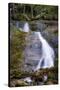 Wigwam Falls, Virginia, Blue Ridge Parkway-Anna Miller-Stretched Canvas