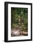 Wigwam Falls, Virginia, Blue Ridge Parkway-Anna Miller-Framed Photographic Print