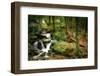 Wigwam Falls, Virginia, Blue Ridge Parkway-Anna Miller-Framed Photographic Print