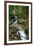 Wigwam Falls, Virginia, Blue Ridge Parkway-Anna Miller-Framed Photographic Print