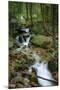 Wigwam Falls, Virginia, Blue Ridge Parkway-Anna Miller-Mounted Photographic Print