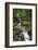 Wigwam Falls, Virginia, Blue Ridge Parkway-Anna Miller-Framed Photographic Print