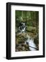 Wigwam Falls, Virginia, Blue Ridge Parkway-Anna Miller-Framed Photographic Print