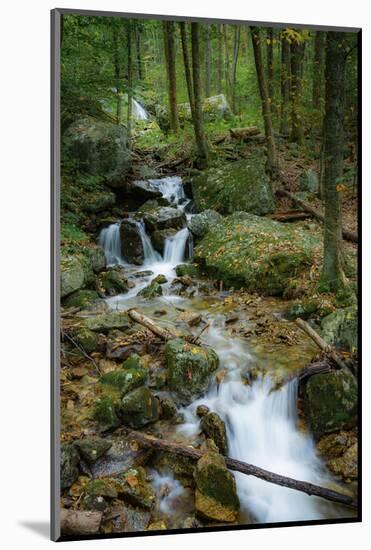 Wigwam Falls, Virginia, Blue Ridge Parkway-Anna Miller-Mounted Photographic Print