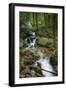 Wigwam Falls, Virginia, Blue Ridge Parkway-Anna Miller-Framed Photographic Print