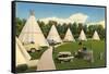 Wigwam Village Motel-null-Framed Stretched Canvas