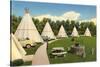 Wigwam Village Motel-null-Stretched Canvas