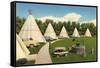 Wigwam Village Motel-null-Framed Stretched Canvas