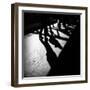 Wikizzy-Sharon Wish-Framed Photographic Print