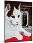 Wilberforce, the Number 10 Cat, 1987-Frances Broomfield-Mounted Giclee Print