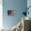 Wilbur And Company-Brenda Petrella Photography LLC-Stretched Canvas displayed on a wall