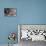 Wilbur And Company-Brenda Petrella Photography LLC-Stretched Canvas displayed on a wall