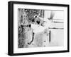 Wilbur Cooper, Columbus Senators, Baseball Photo No.1 - Columbus, OH-Lantern Press-Framed Art Print