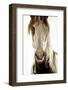 Wilbur Cruz-Lisa Dearing-Framed Photographic Print