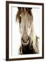 Wilbur Cruz-Lisa Dearing-Framed Photographic Print