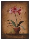 White Orchid Still Life-Wilbur-Stretched Canvas