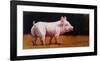 Wilbur-Lucia Heffernan-Framed Art Print