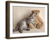 Wilbur-Rachael Hale-Framed Art Print