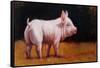 Wilbur-Lucia Heffernan-Framed Stretched Canvas