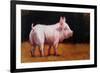 Wilbur-Lucia Heffernan-Framed Art Print