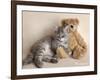 Wilbur-Rachael Hale-Framed Photographic Print