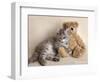 Wilbur-Rachael Hale-Framed Photographic Print