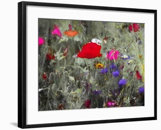 Wild, 2019,-Helen White-Framed Giclee Print