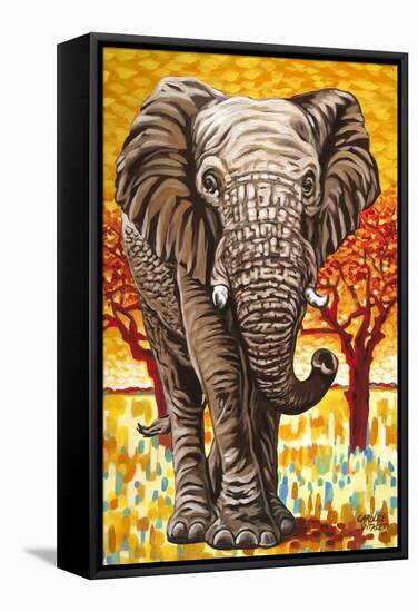 Wild Africa I-Carolee Vitaletti-Framed Stretched Canvas