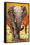 Wild Africa I-Carolee Vitaletti-Framed Stretched Canvas