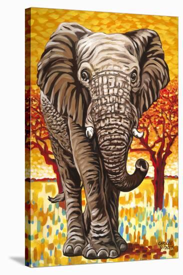 Wild Africa I-Carolee Vitaletti-Stretched Canvas