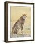 Wild African Cheetah, Beautiful Mammal Animal. Africa, Kenya-Volodymyr Burdiak-Framed Photographic Print