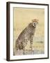 Wild African Cheetah, Beautiful Mammal Animal. Africa, Kenya-Volodymyr Burdiak-Framed Photographic Print