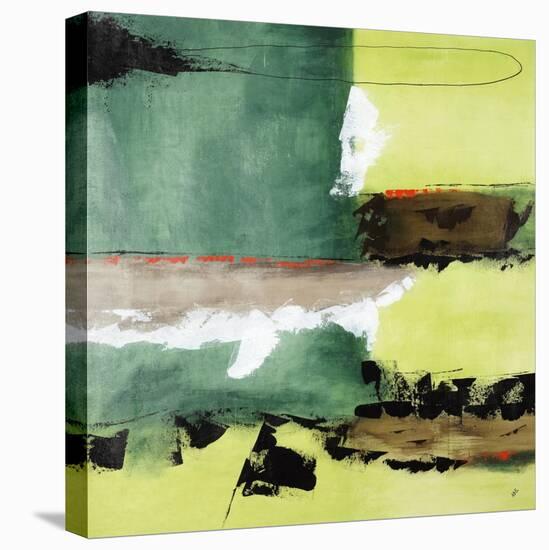 Wild Amazon-Brent Abe-Stretched Canvas