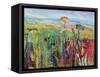 Wild and Free 2013-Sylvia Paul-Framed Stretched Canvas