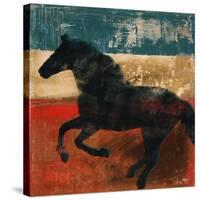 Wild and Free I-Dan Meneely-Stretched Canvas