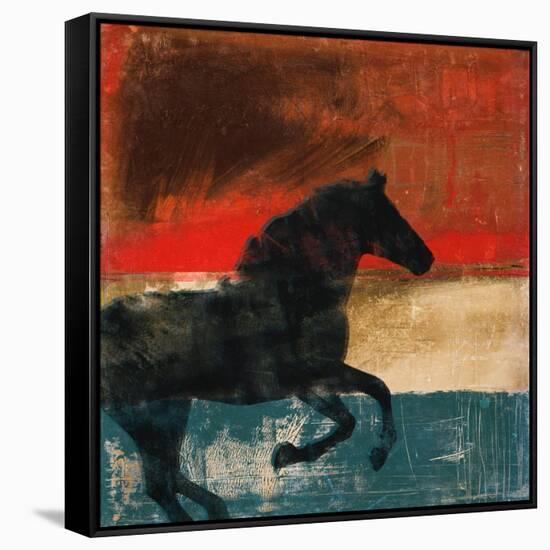 Wild and Free II-Dan Meneely-Framed Stretched Canvas