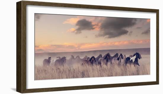 Wild and Free II-null-Framed Photographic Print