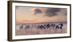 Wild and Free II-null-Framed Photographic Print